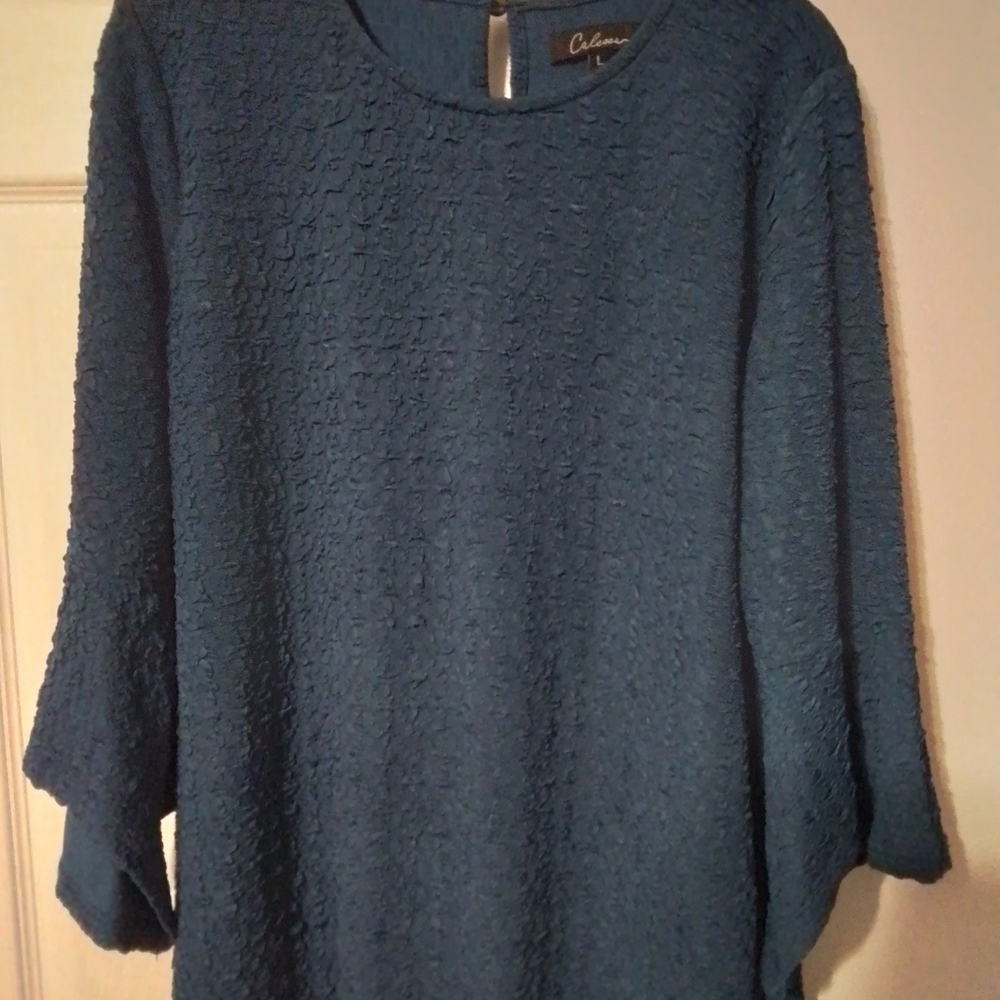 Calvin Klein Blue Textured Women's Blouse